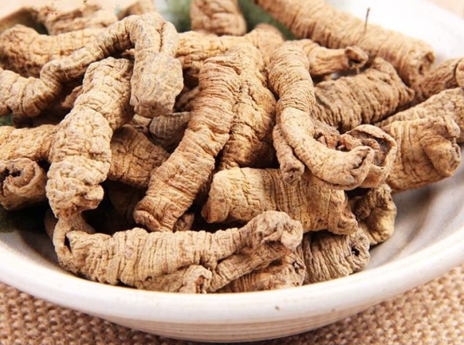 Ba kích chống loãng xương