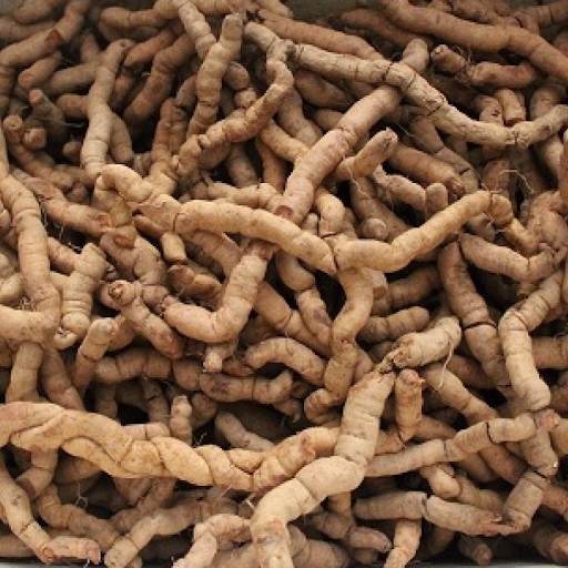 Ba kích chống loãng xương
