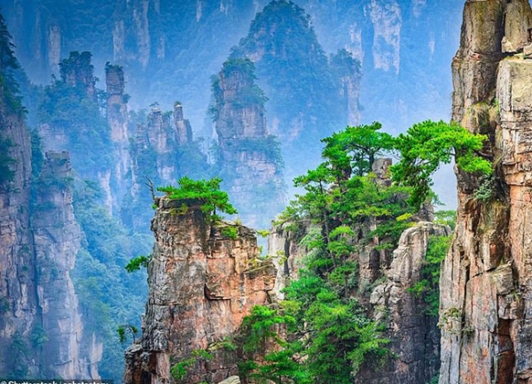 Chóng mặt với view từ trên cao nhìn xuống xứ triệu hoa