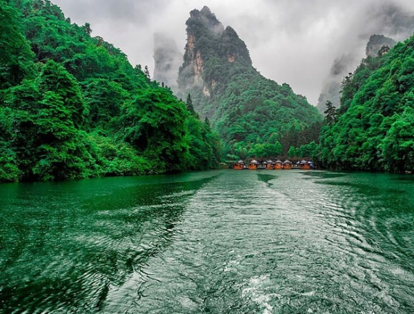 Chóng mặt với view từ trên cao nhìn xuống xứ triệu hoa