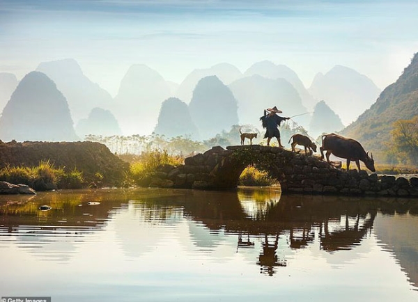 Chóng mặt với view từ trên cao nhìn xuống xứ triệu hoa