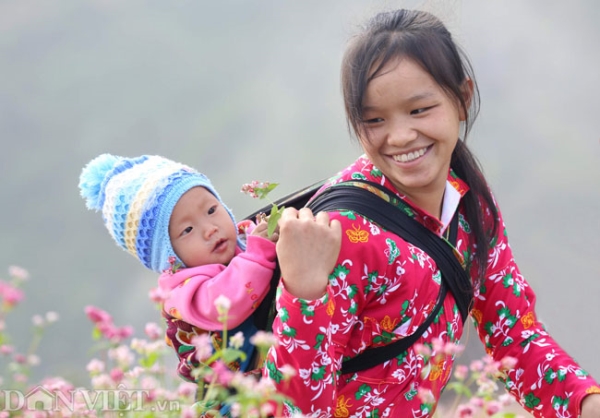 Mê mẩn những đồi hoa tam giác mạch ở Hà Giang