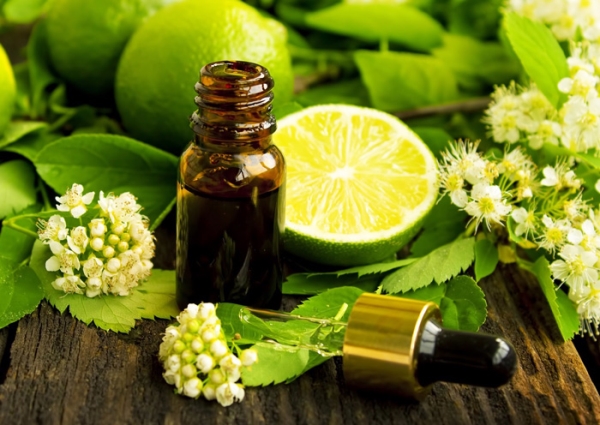 Một số giải pháp nhằm phát triển tinh dầu - hương liệu Việt Nam