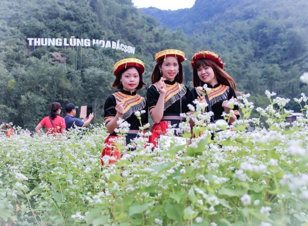 Ngỡ lạc chốn thiên đường ở thung lũng hoa đẹp ngất ngây ở Lạng Sơn