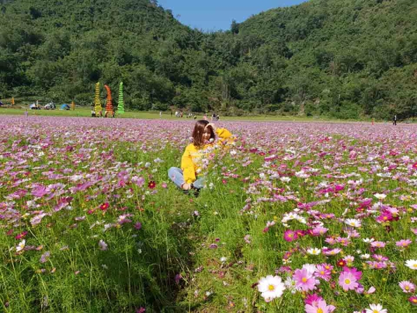 Ngỡ lạc chốn thiên đường ở thung lũng hoa đẹp ngất ngây ở Lạng Sơn