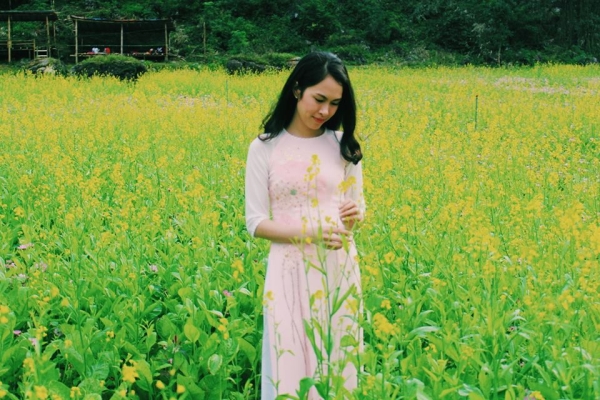 Ngỡ lạc chốn thiên đường ở thung lũng hoa đẹp ngất ngây ở Lạng Sơn