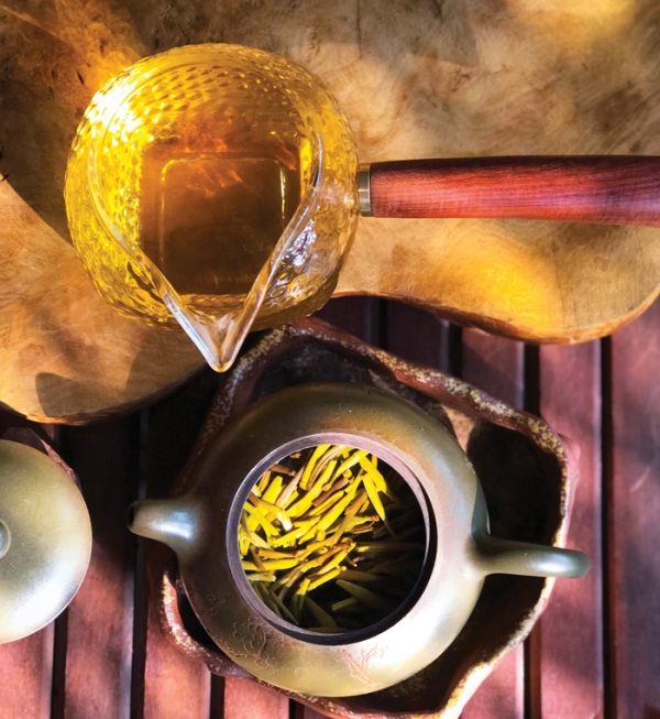 Phải lòng hương chè cổ Tà Xùa