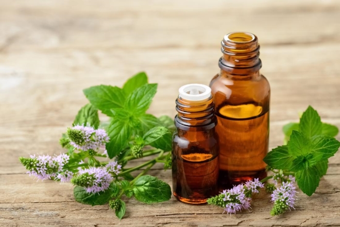 Xu hướng phát triển lĩnh vực tinh dầu