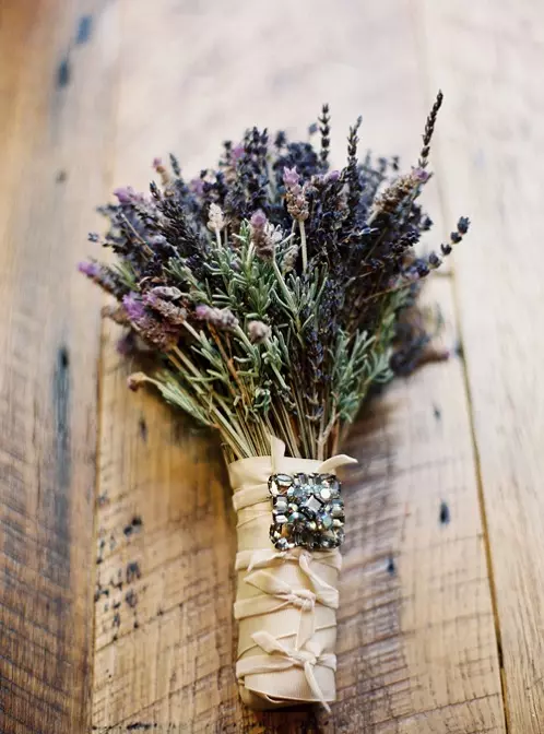 Hoa Lavender