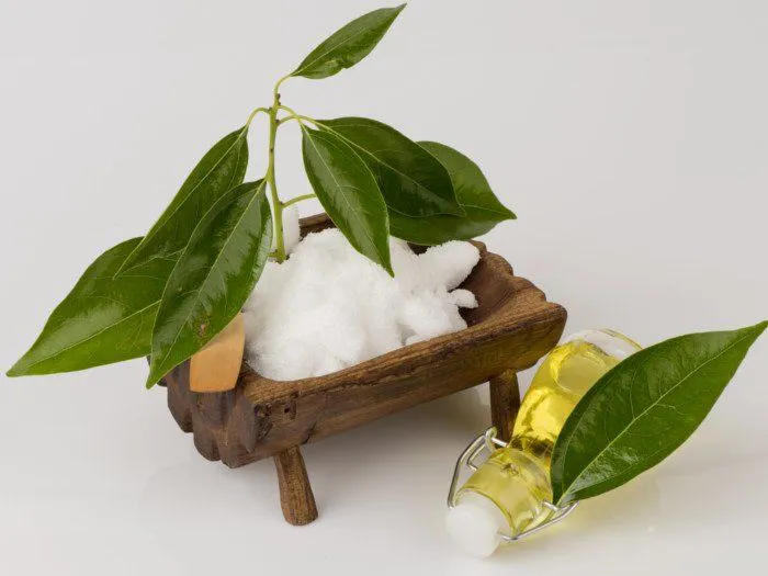 Công dụng và độ an toàn của tinh dầu long não trên trẻ nhỏ