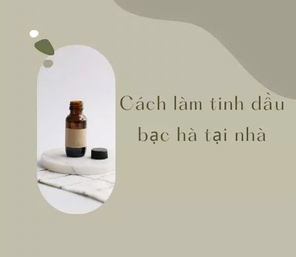 Cách làm tinh dầu bạc hà tại nhà