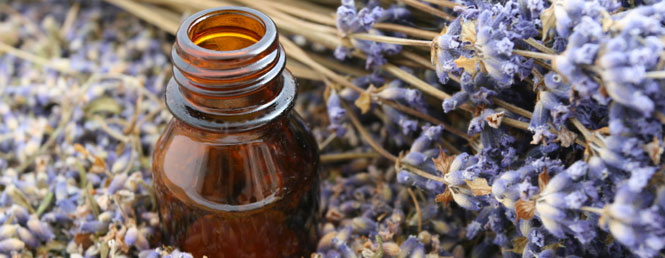 8 tinh dầu tuyệt vời cho vẻ đẹp của bạn