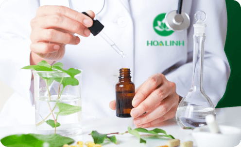 Mỹ phẩm dược liệu