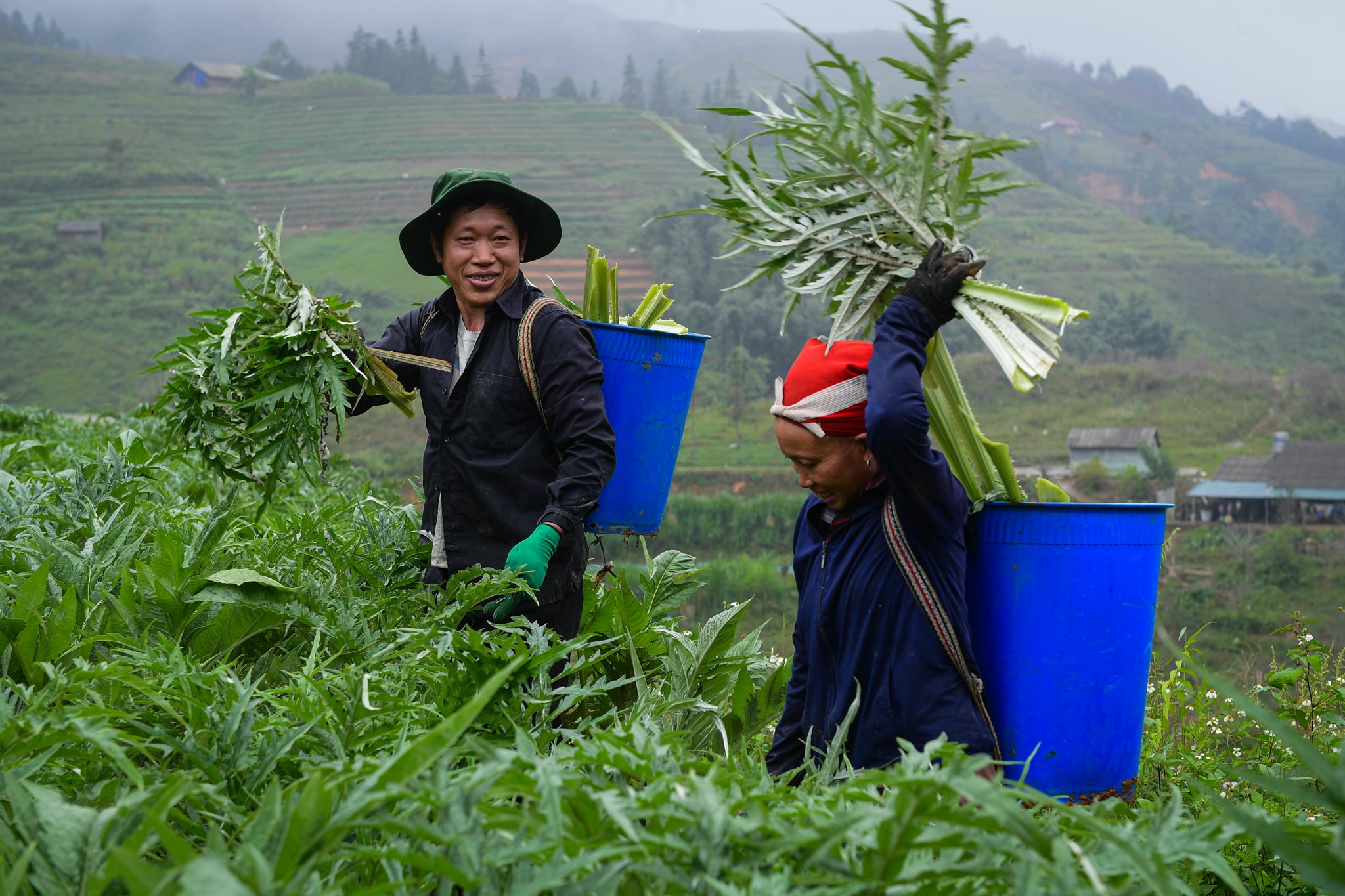 Mỹ phẩm từ dược liệu