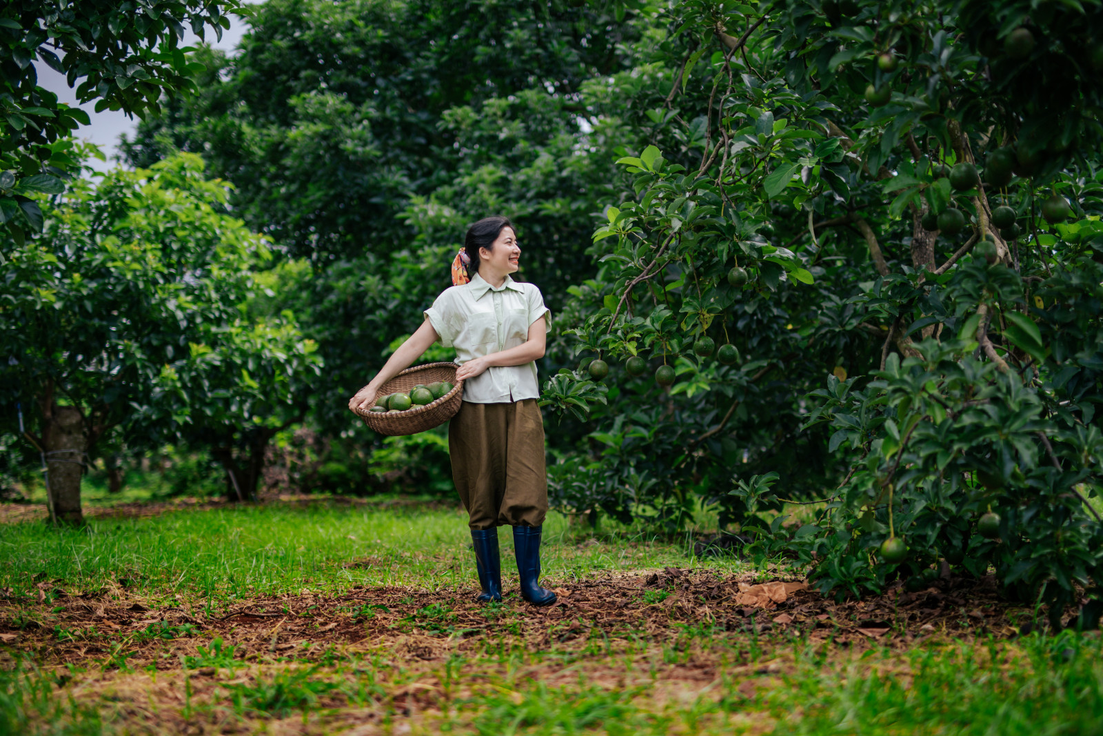 mỹ phẩm từ bơ