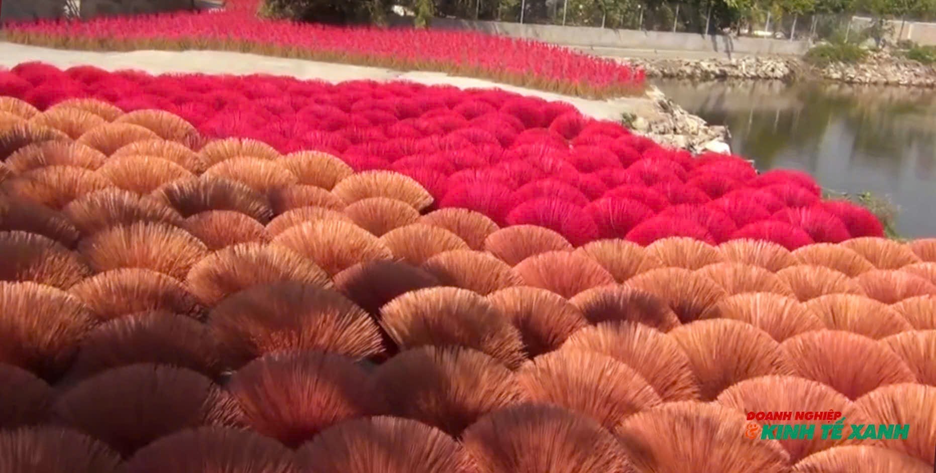 Những bông hoa được con người nơi đây tạo ra mang mùi hương của thảo mộc dịu nhẹ như mời gọi, nâng bước chân ai ngang qua vùng làm hương truyền thống có tuổi đời hàng trăm năm.