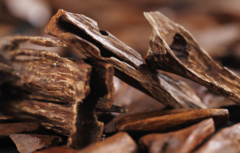 Trầm hương vị cay, đắng, tính ấm... có nhiều lợi ích cho sức khỏe.