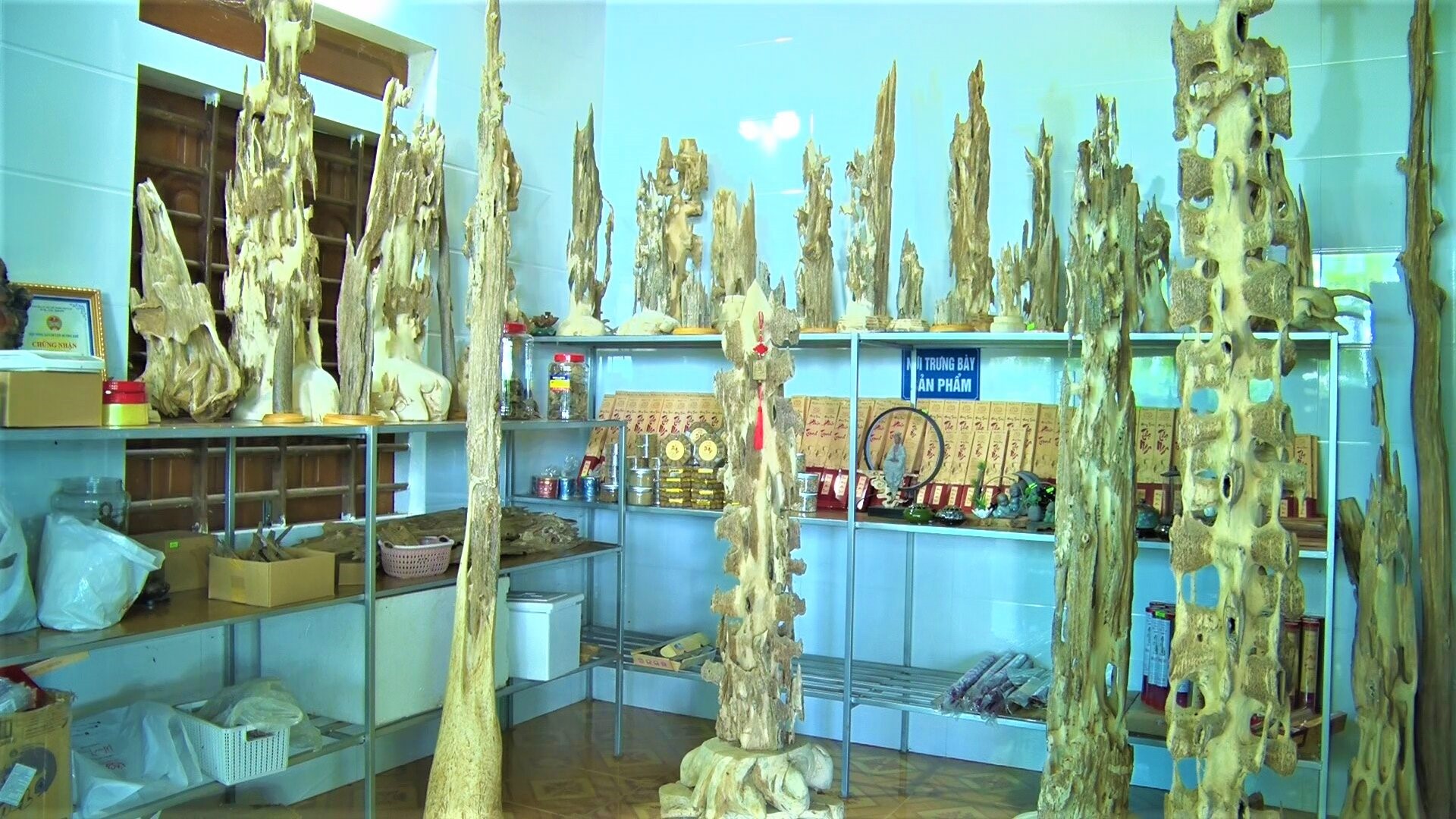 Những cây phong thủy được chế tác từ cây gió trầm.