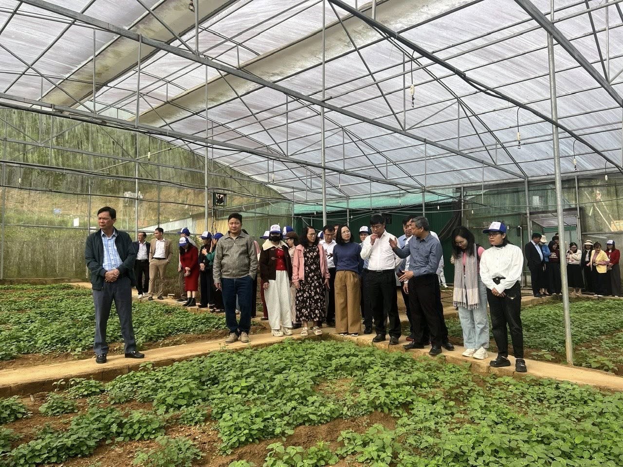 Đoàn công tác ghé thăm mô hình trồng cây dược liệu tại các xã miền Tây Nghệ An.