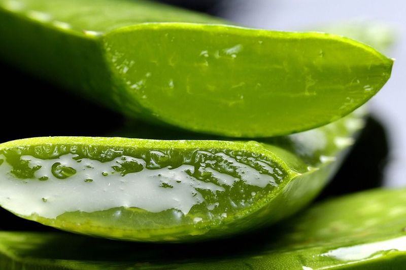 Mặt nạ hạt chia kết hợp với lô hội thích hợp cho da khô và bị kích ứng.