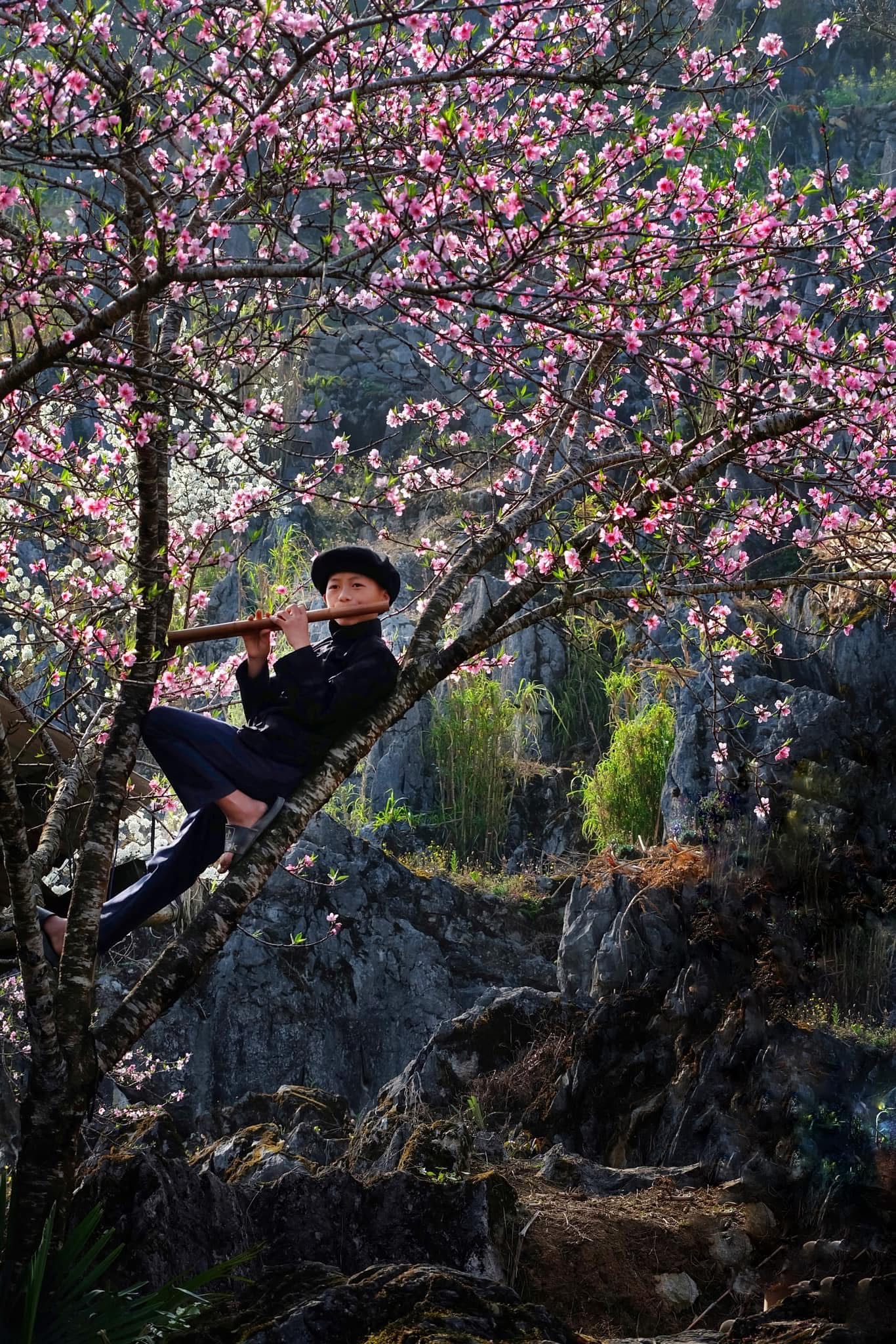 Mùi hương của thiên nhiên mùa xuân