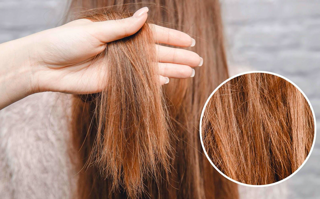 Dưới tác động của môi trường, hóa chất và thói quen sinh hoạt khiến tóc khô, xơ rối, dễ gãy rụng.