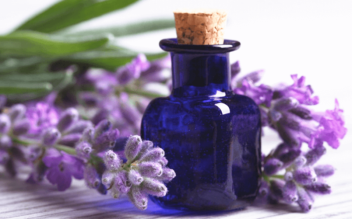 Tinh dầu hoa oải hương giúp cải thiện giấc ngủ