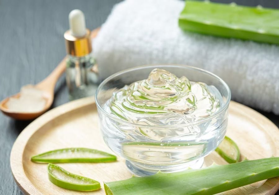 Gel lô hội (nha đam) được sử dụng phổ biến trong chăm sóc da.