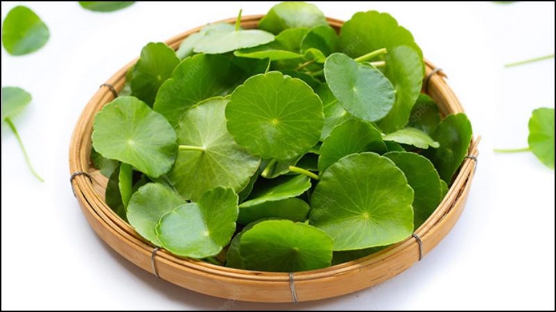 Tăng cường các thực phẩm có tính mát như rau má giúp giảm ngứa da.