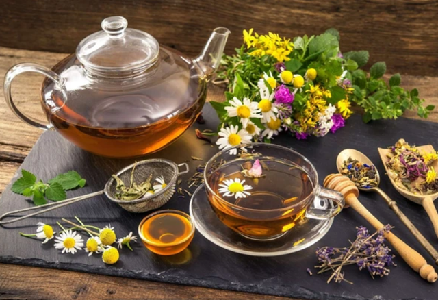 Trà thảo dược được nhiều người lựa chọn như một thức uống tốt cho sức khỏe, nhưng không thể thay thế hoàn toàn nước lọc.