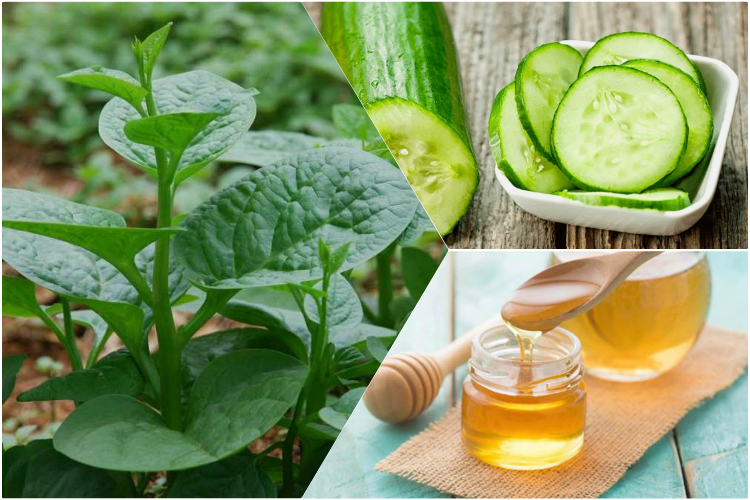 Mồng tơi + mật ong có tính kháng khuẩn cao, giúp làm sạch da đầu và làm giảm tình trạng tóc khô xơ.