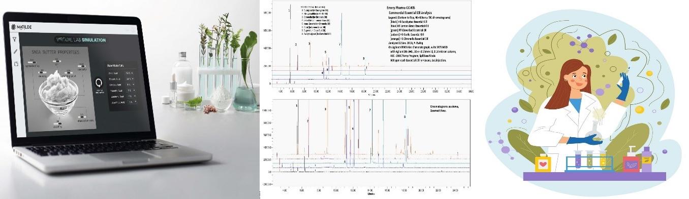 AI trong nghiên cứu và phát hiện hoạt chất từ tinh dầu