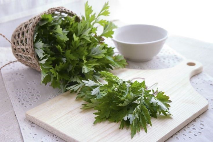 Không chỉ dừng lại ở một loại rau hay vị thuốc trong các món ăn bồi bổ, ngải cứu đã trở thành thành phần chủ chốt trong các dòng mỹ phẩm chăm sóc da.