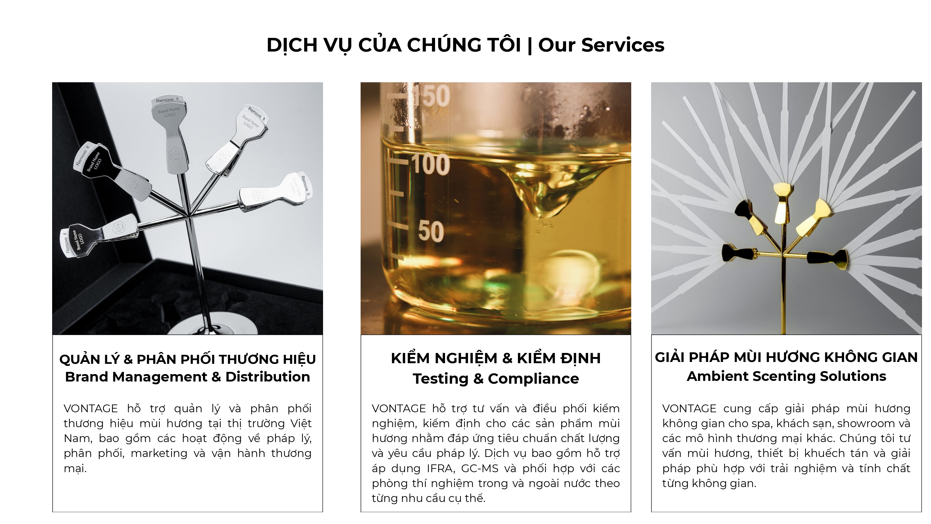 Các dịch vụ của VONTAGE