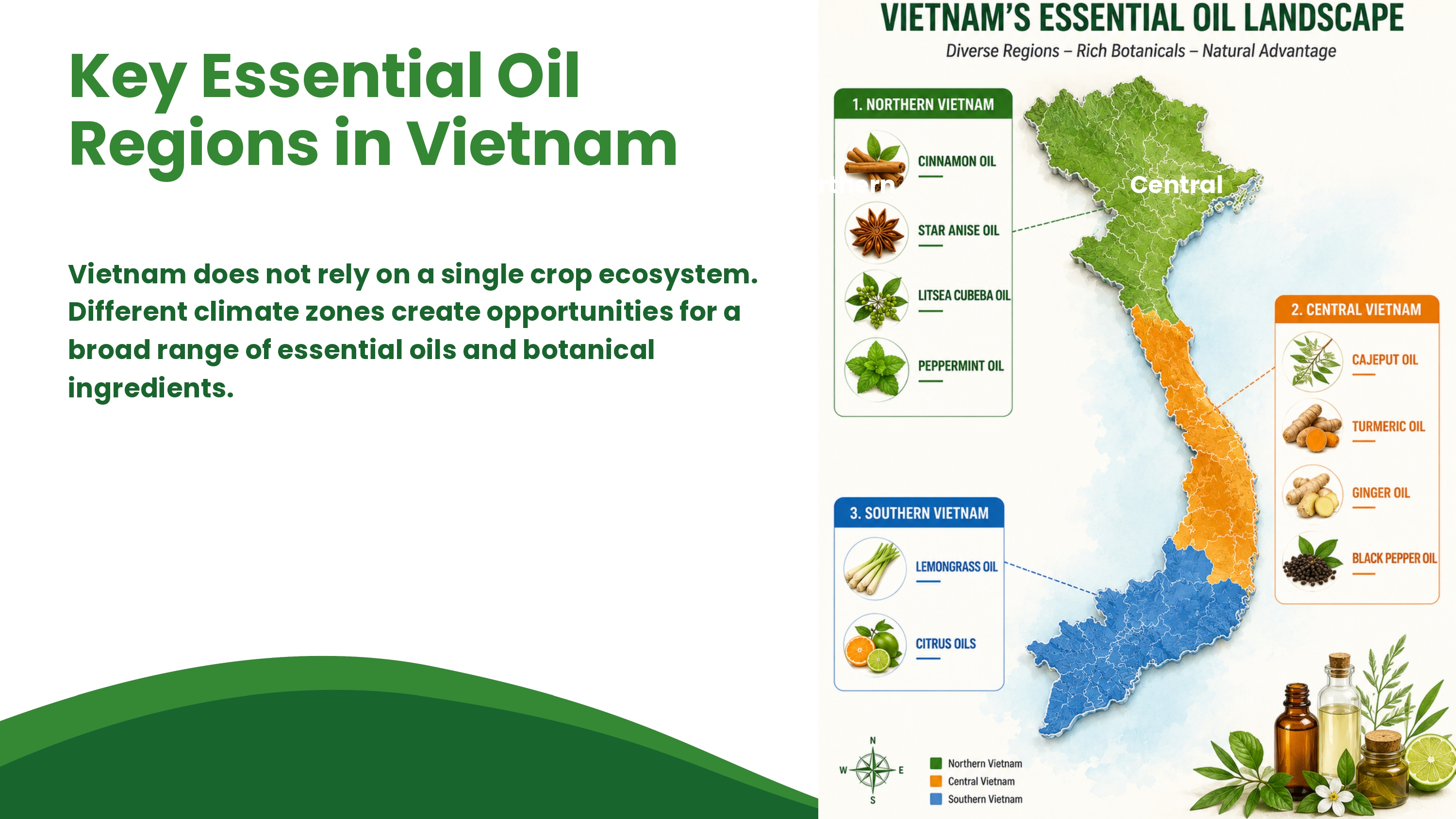 Biểu đồ: Các vùng tinh dầu đặc trưng của Việt Nam