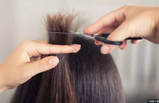 Thường xuyên tỉa là biện pháp hiệu quả để xử lý vấn đề tóc chẻ ngọn. Phương pháp này không chỉ loại bỏ phần tóc hư tổn mà còn góp phần duy trì sức khỏe cho tóc.