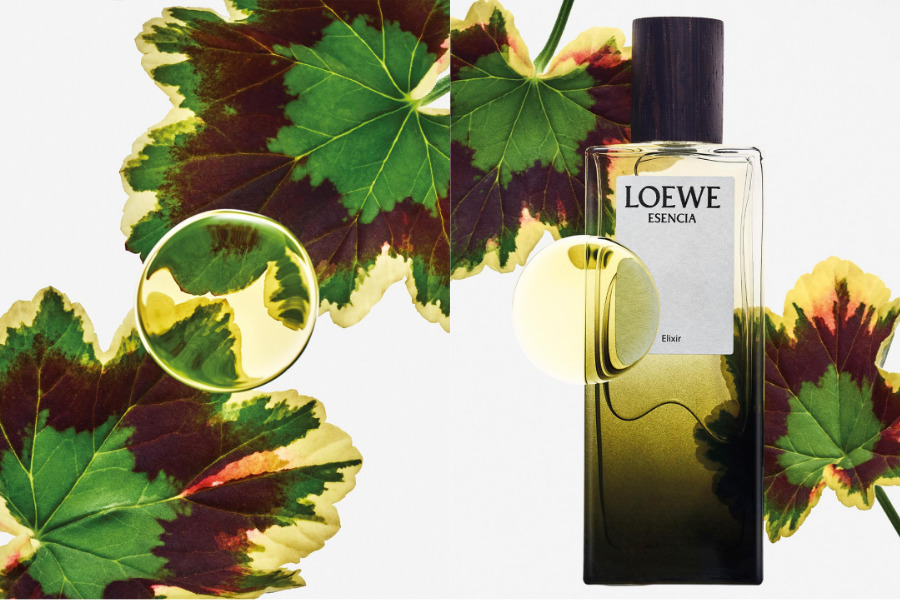 loewe-esencia-ba-phien-ban--mot-ban-sac-nam-tinh-vuot-thoi-gian_6a66fc3a5f303.png?md5=_JJj5gpdvaQmPIrL92qf5w&%3Bexpires=1785148538&expires=1785157158