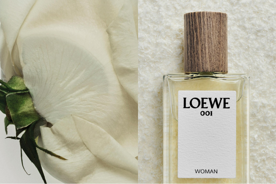 loewe-001--khi-mot-khoi-dau-tro-thanh-bieu-tuong_6a7c2ec974901.png?md5=Sy4xUevYASICInl7DRccbA&%3B%3Bexpires=1786537737&%3Bexpires=1786701213&expires=1786701277
