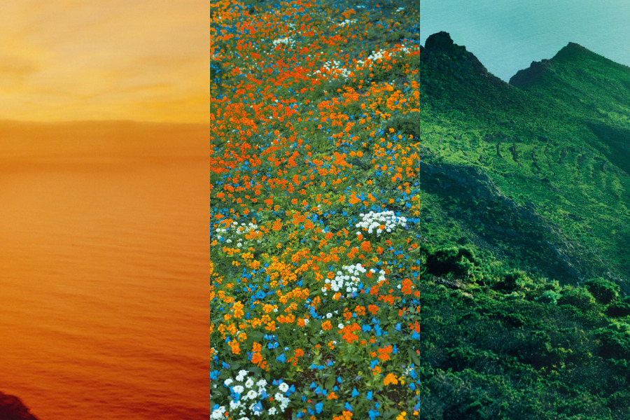 top-3-mui-huong-elixir-dinh-dam-trong-bo-suu-tap-landscape-cua-loewe_6aabd9484558b.png?md5=tN_ez1Au53imsXRc12vohg&expires=1789735529