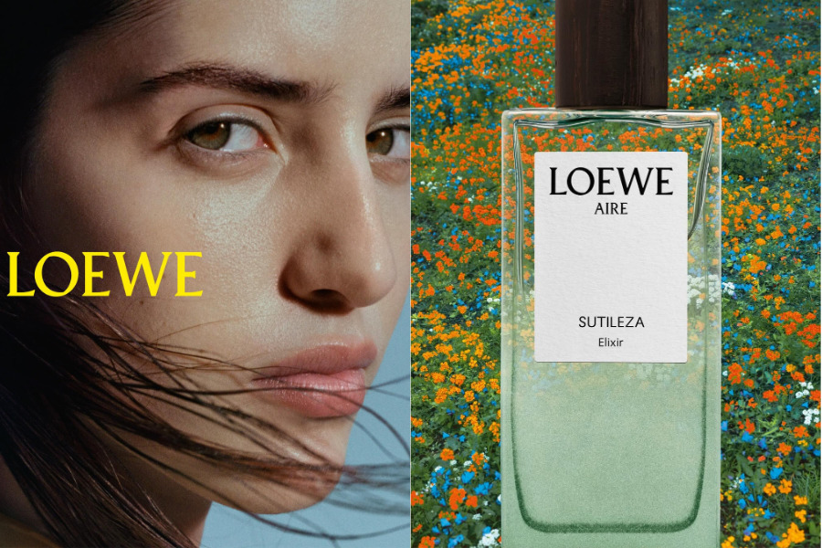 top-3-mui-huong-elixir-dinh-dam-trong-bo-suu-tap-landscape-cua-loewe_6aabd963e3f4e.png?md5=arYA1M2CcJeWVgkdSwN19w&expires=1789735529