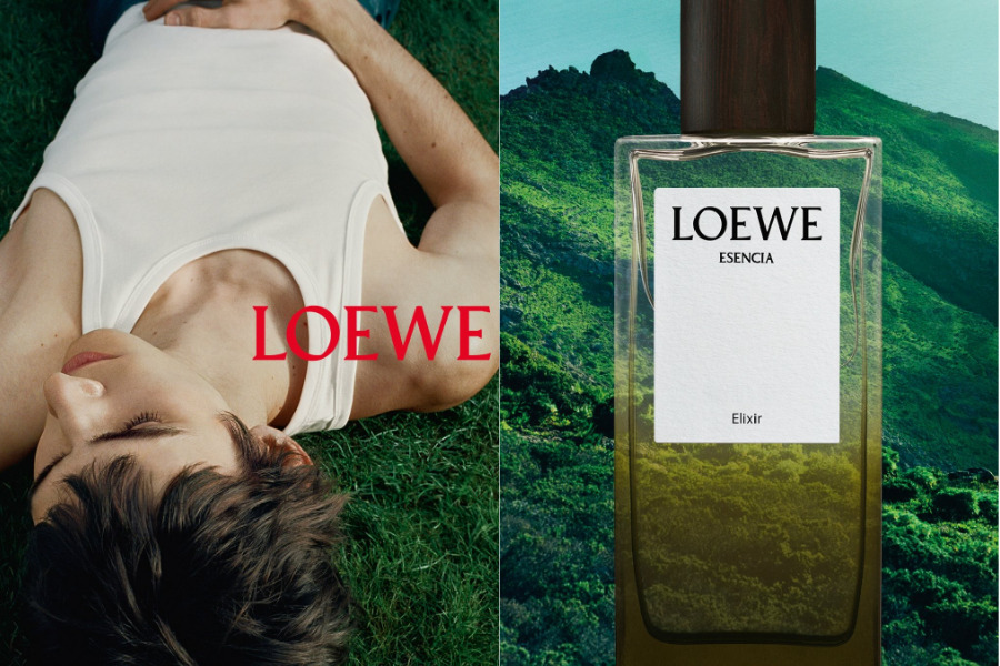 top-3-mui-huong-elixir-dinh-dam-trong-bo-suu-tap-landscape-cua-loewe_6aabd996e246c.png?md5=fQmAZcHkugZiBBzPBSCwsg&expires=1789735529