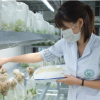 Viện Dược liệu - cầu nối khoa học giữa nguyên liệu thiên nhiên và ứng dụng dược mỹ phẩm tại Việt Nam