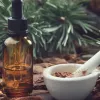 Công dụng tuyệt vời của tinh dầu thông đỏ với sức khoẻ