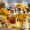Hướng tiếp cận tinh dầu  thảo dược  từ y học dân gian của Hoa Dược Thảo