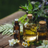 Tinh dầu thảo mộc - “hơi thở” thiên nhiên trong tinh dầu Nguyên Hồng