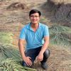Khởi nghiệp tinh dầu bền vững - Người “chưng cất” khát vọng sinh kế trên những đồi thơm