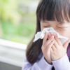 Phòng ngừa bệnh cúm mùa bằng các dược liệu chứa tinh dầu