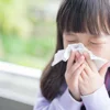 Phòng ngừa bệnh cúm mùa bằng các dược liệu chứa tinh dầu