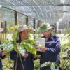 Định hình con đường dược liệu Việt: Tư duy chiến lược của Anh hùng Lao động Thái Hương