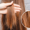 Tạm biệt tóc khô xơ với mặt nạ từ loại rau rẻ tiền, dễ kiếm